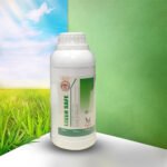 Liver Safe-লিভার সেফ